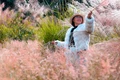 Sơn Lang is enchanting as pink reeds bloom in full splendor.
