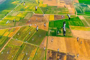 Gia Lai Plateau During the Migratory Season of Storks and Herons