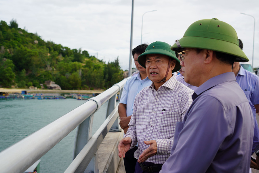 Provincial Party Secretary Thai Dai Ngoc (second from right) inspects fisheries activities at De Gi Fishing Port. Photo: N.H a5.jpg