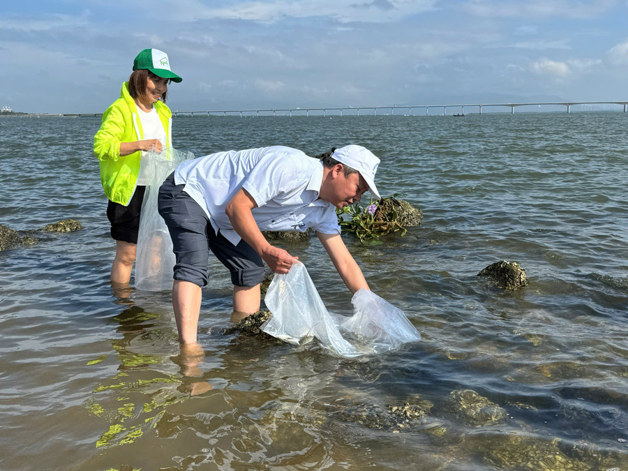 Releasing juvenile fish into Thi Nai Lagoon is a regular activity organized by Gia Lai’s Department of Agriculture and Environment to restore, regenerate, and develop aquatic resources. Photo: N.H 3.jpg