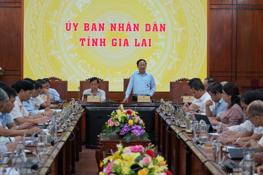 Chairman of the Provincial People’s Committee Pham Anh Tuan delivers the concluding remarks at the conference. Photo: N.H 6.jpg