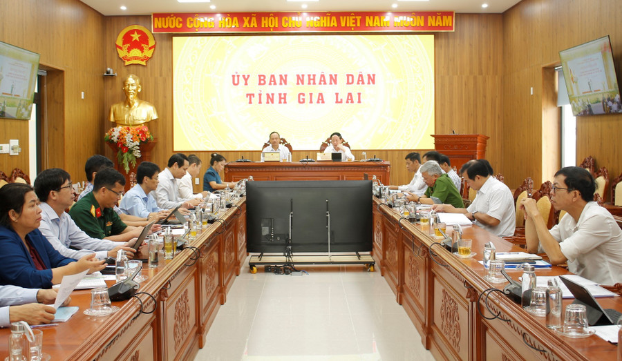 Delegates are attending the conference at the Gia Lai Provincial People’s Committee venue. Photo: N.H 1.jpg