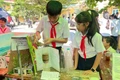 Students of Tuy Phuoc Secondary School Enthusiastically Participate in STEM Day