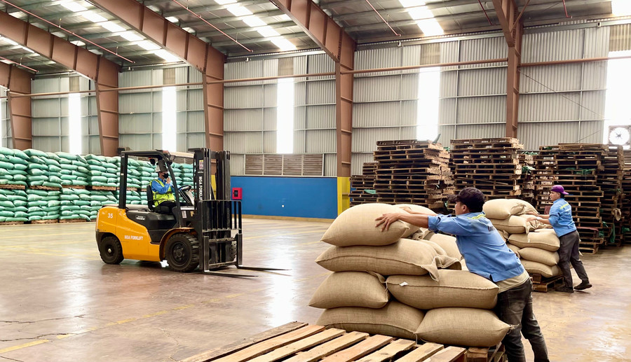 Coffee export warehouse of Vinh Hiep Co., Ltd. (An Phu Ward). Photo: Vu Thao kim-ngach-xuat-khau-ca-phe-cua-gia-lai-tien-sat-moc-1-ty-usd-anh-vu-thao.jpg