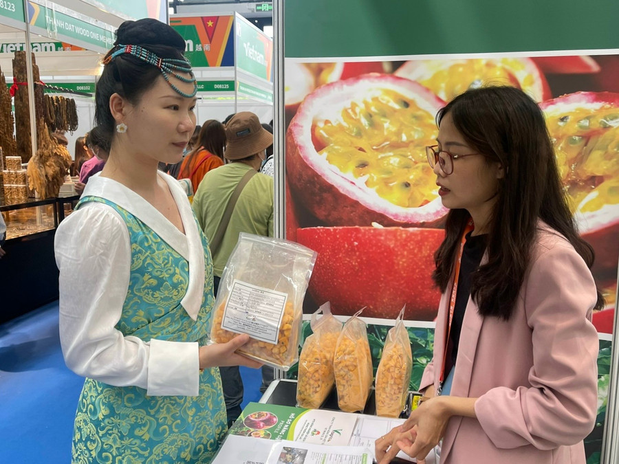 Gia Lai enterprises participate in the 20th China-ASEAN Expo (CAEXPO 2023). Photo: Provided by Organizers doanh-nghiep-cua-gia-lai-tham-gia-hoi-cho-trung-quoc-asean-lan-thu-20-caexpo-2023-duoc-to-chuc-tu-ngay-16-199-tai-tp-nam-ninh-tinh-quang-tay-trung-quoc-anh-dvcc.jpg