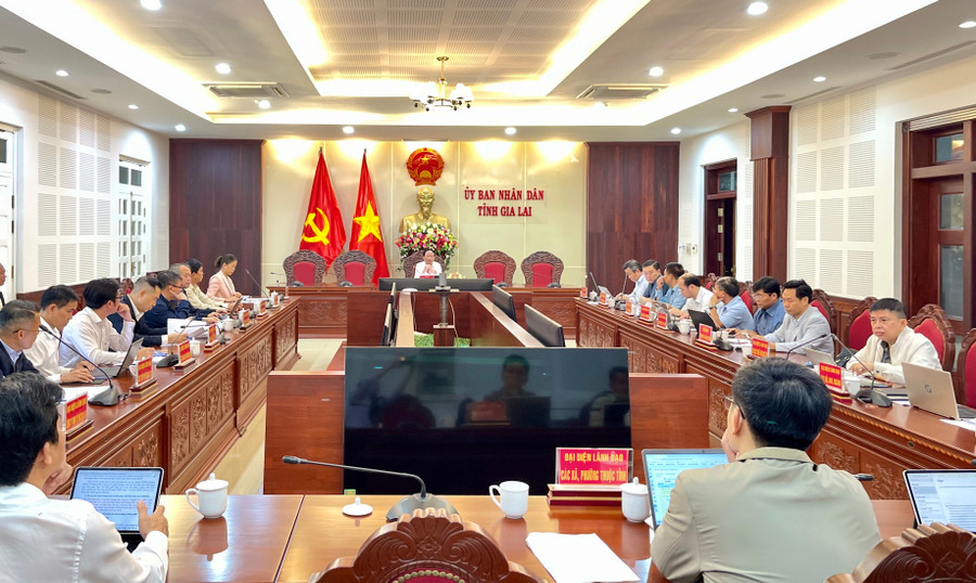 Overview of the working session. Photo: Vũ Thảo quang-canh-buoi-lam-viec.jpg