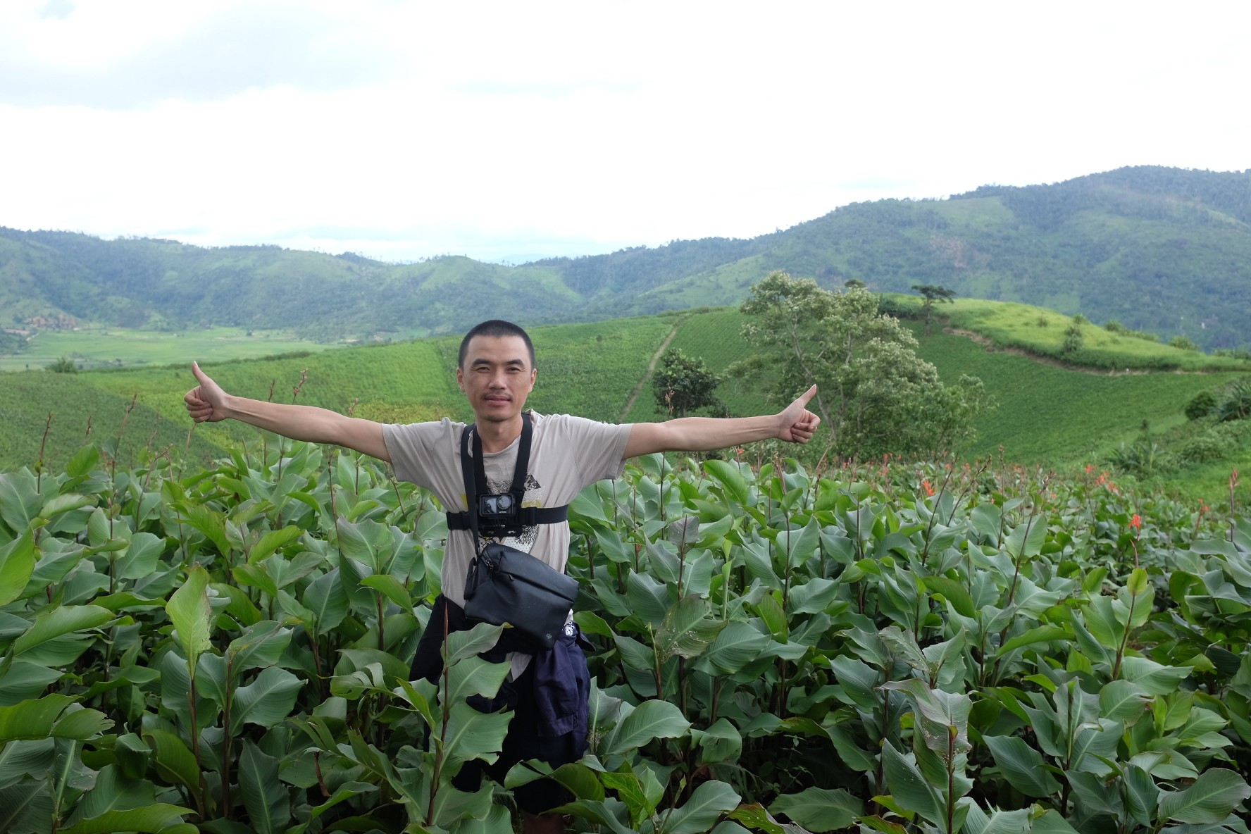 The hills are cloaked in fresh green after the long rainy season dscf5023.jpg