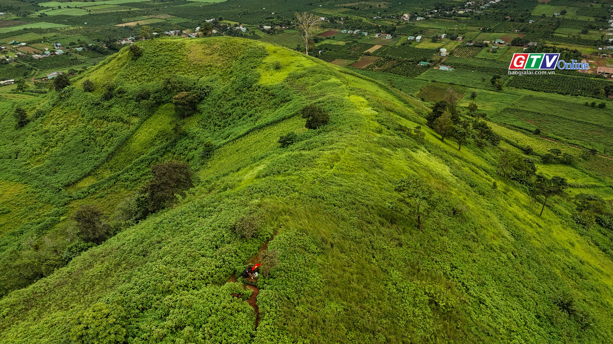 The “dinosaur ridge” atop Chư Đang Ya 4-d.jpg