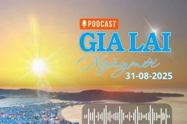 Gia Lai New Day, August 31: Top 5 camping destinations in Gia Lai for Vietnam’s National Day holiday