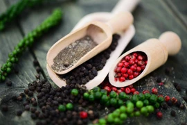 Vietnam coffee prices edge higher, pepper retreats on August 31