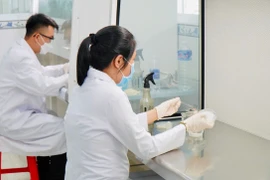 Experts are conducting in-depth research and propagation, assessing the growth performance of shiitake mushrooms using Japanese technology.