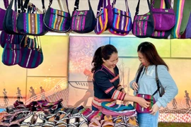 Promoting the Consumption of Products from Ethnic Minority Regions