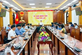 Chairman of the Provincial People's Committee Pham Anh Tuan reviews preparations for the Opening Week of National Tourism Year – Gia Lai 2026