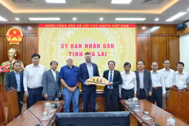 Gia Lai Promotes Investment Cooperation for Data Center Project