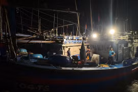 Giant Ocean Tuna Weighing Over 300kg Lands at Tam Quan Fishing Port
