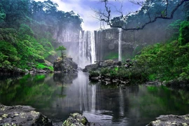 Orientation for the Conservation and Sustainable Development of Kon Hà Nừng