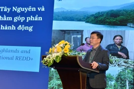 Gia Lai Participates in Launch of Emissions Reduction Project in Central Highlands and South Central Coast