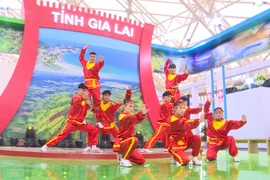 Gia Lai Tourism Products Make an Impression at the 2026 Spring Fair