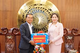 Delegation from Salavan Province (Laos) Visits and Extends Tet Greetings to Gia Lai Province