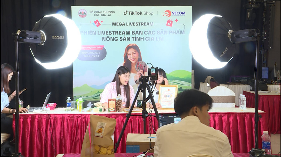Content creator Lê Phương Oanh (TikTok Phương Oanh Daily) supporting Gia Lai businesses and cooperatives in a livestream sales session. Photo: Phi Long nha-sang-tao-noi-dung-le-phuong-oanh-kenh-tiktok-phuong-oanh-daily-trong-1-lan-ho-tro-cac-dn-htx-tinh-gia-lai-livestream-ban-hang-truc-tuyen-vao-cuoi-thang-52025-1.jpg