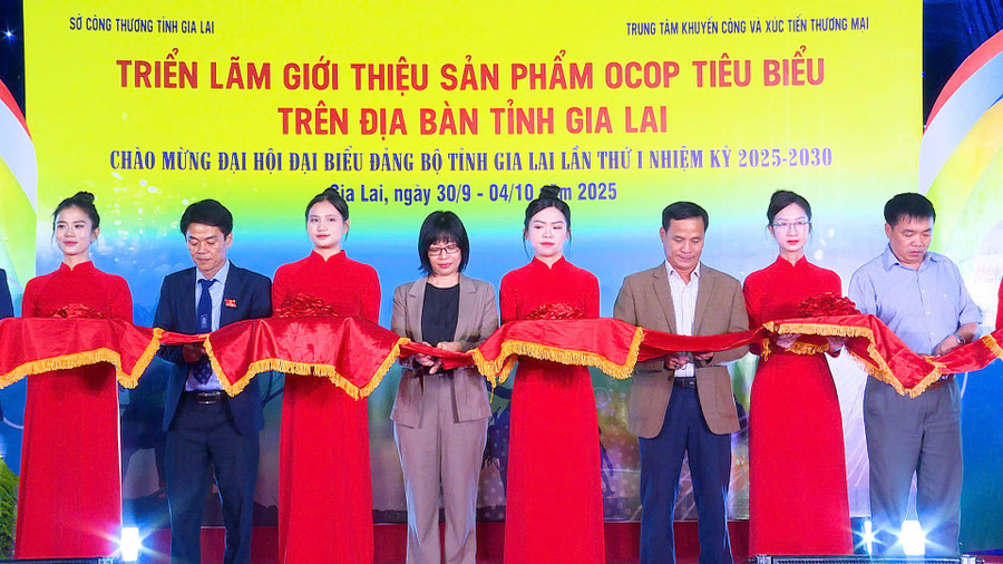 Vice Chairwoman of the Provincial People's Committee Nguyễn Thị Thanh Lịch (fourth from left) and other delegates cut the ribbon to open the exhibition. Photo: Huy Toàn pho-chu-tich-ubnd-tinh-nguyen-thi-thanh-lich-thu-4-tu-trai-qua-va-cac-dai-bieu-cat-bang-khai-mac-trien-lam-anh-huy-toan.jpg