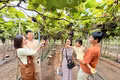 From Organic Vineyards to an Agricultural Tourism Destination