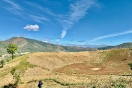 The Beauty of the Dry Season on Chu Dang Ya Mountain