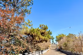 Drifting along Bien Ho on a spring afternoon…