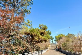 Drifting along Bien Ho on a spring afternoon…