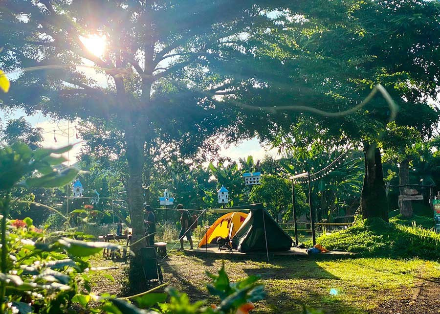 Không gian vườn rừng lý tưởng của Paksong Farmstay. Ảnh: Phan Duy