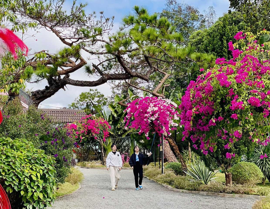 Ánh Quang Vegan Garden coffee & homestay với khung cảnh hữu tình. Ảnh: Phương Duyên