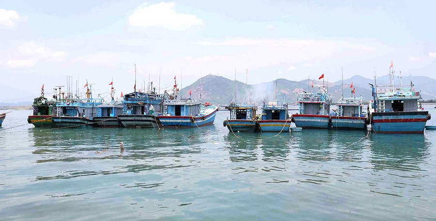 Phù Mỹ Đông Commune keeps a detailed record of each fishing vessel and is actively encouraging owners to decommission their boats if they are no longer engaged in fishing activities. Photo: N.N bg-9-2.jpg