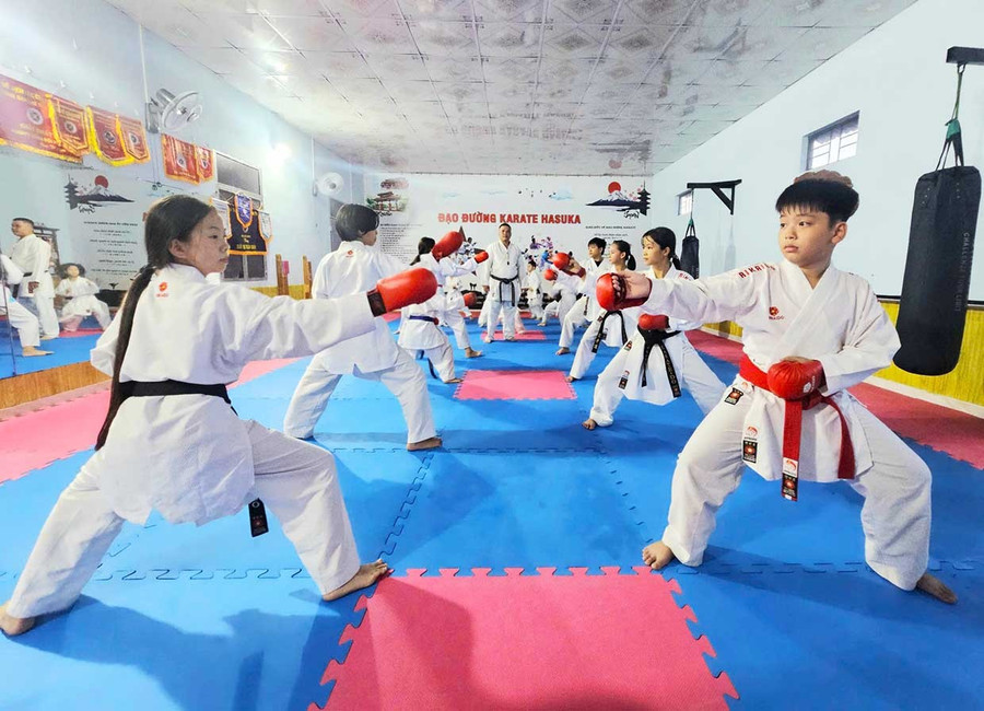 Members of the Hasuka Karate Club during a training session.