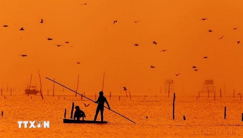 Sunset over Giao Hải Beach, located in the buffer zone of Xuan Thuy National Park. (Photo: Lam Khanh/Vietnam News Agency) cong-vien-di-san.jpg