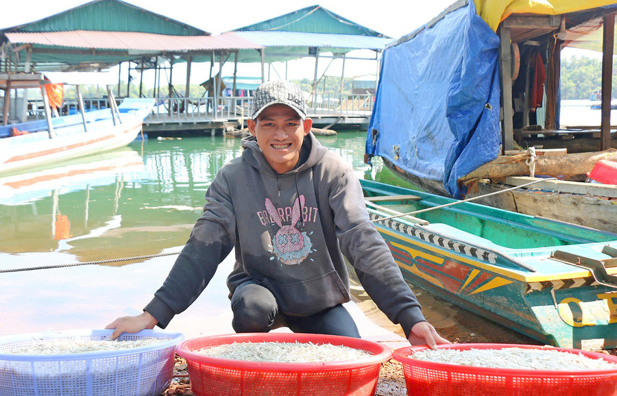 Lê Văn Sang preparing to sell anchovies caught in the Sê San hydropower reservoir to traders. Photo: Đồng Lai