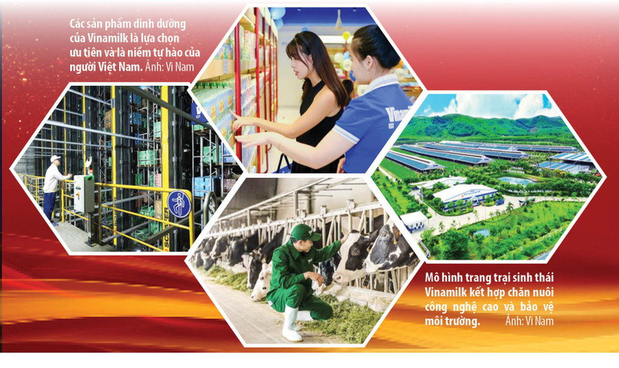 vinamilk-bg3.jpg