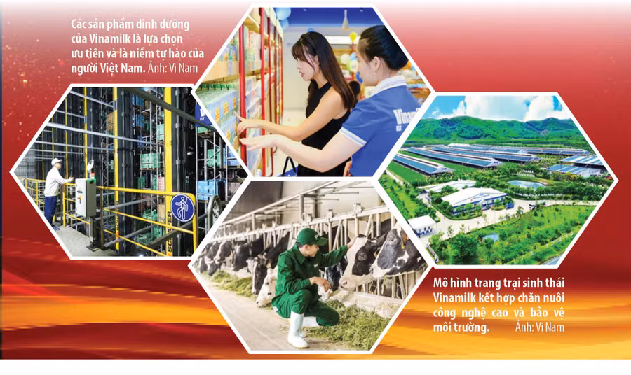vinamilk-bg3.jpg