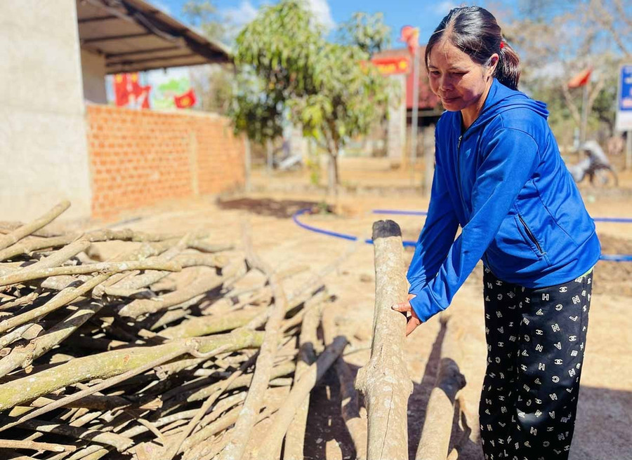Ms. Vaih beside the remaining rubber wood after gifting firewood to her in-laws. Photo: P.D
