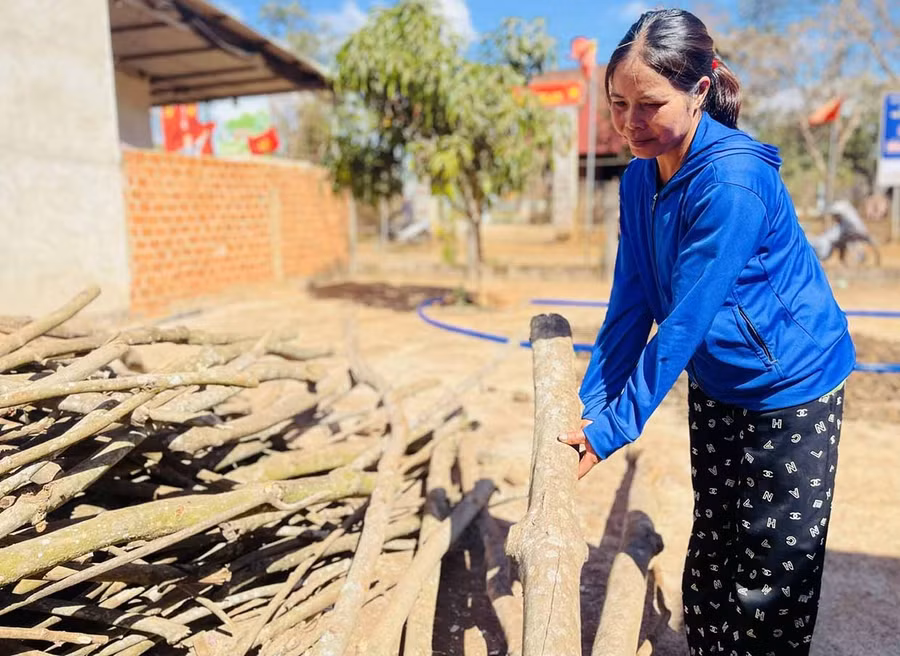 Ms. Vaih beside the remaining rubber wood after gifting firewood to her in-laws. Photo: P.D
