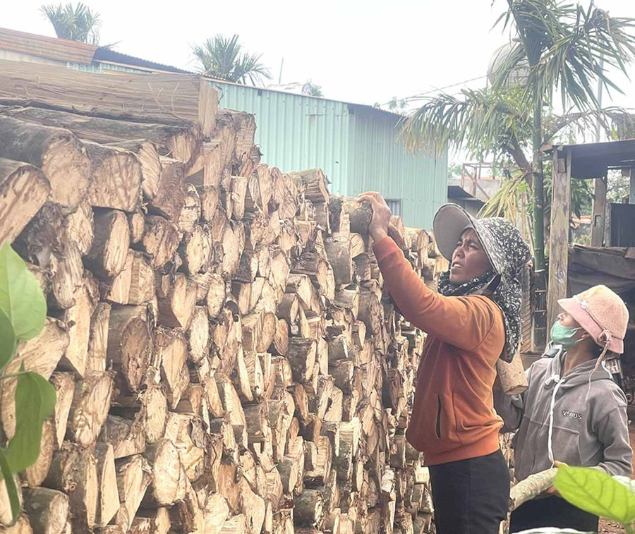 Skilled women are chosen to arrange the firewood neatly and beautifully. Photo: P.D