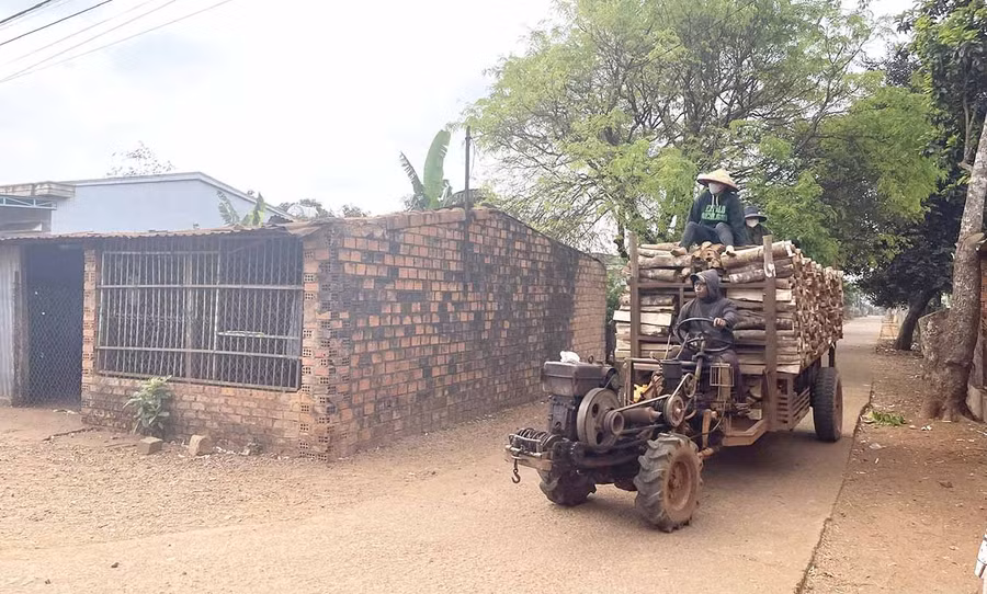 The bride’s family delivers firewood to the in-laws as a gesture of thanks. Photo: P.D