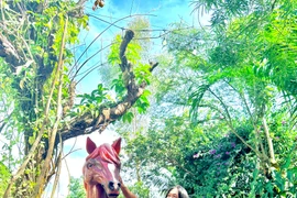 Hồ Thanh Phong turns self-taught sculpture skills into professional craft