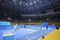 Nearly 600 athletes compete at PPA Tour Asia – MB Vietnam Cup 2025 in Da Nang