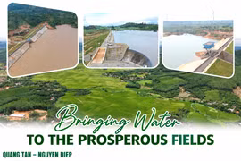 Bringing Water to Fertile Field