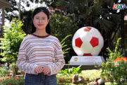 LPBank HAGL Football Academy – A Destination for Football Enthusiasts