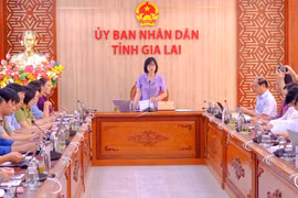 Vice Chairwoman of the Provincial People's Committee Nguyễn Thị Thanh Lịch (standing) chairs the meeting. Photo: Đoan Ngọc