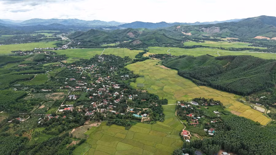 an-tuong-co-dat-dai-va-khi-hau-thuan-loi-de-phat-trien-cay-lua-nuoc-cay-an-qua-co-mui-trong-rung-go-lon.jpg