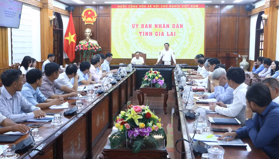 quang-canh-buoi-lam-viec-quang-tan.jpg