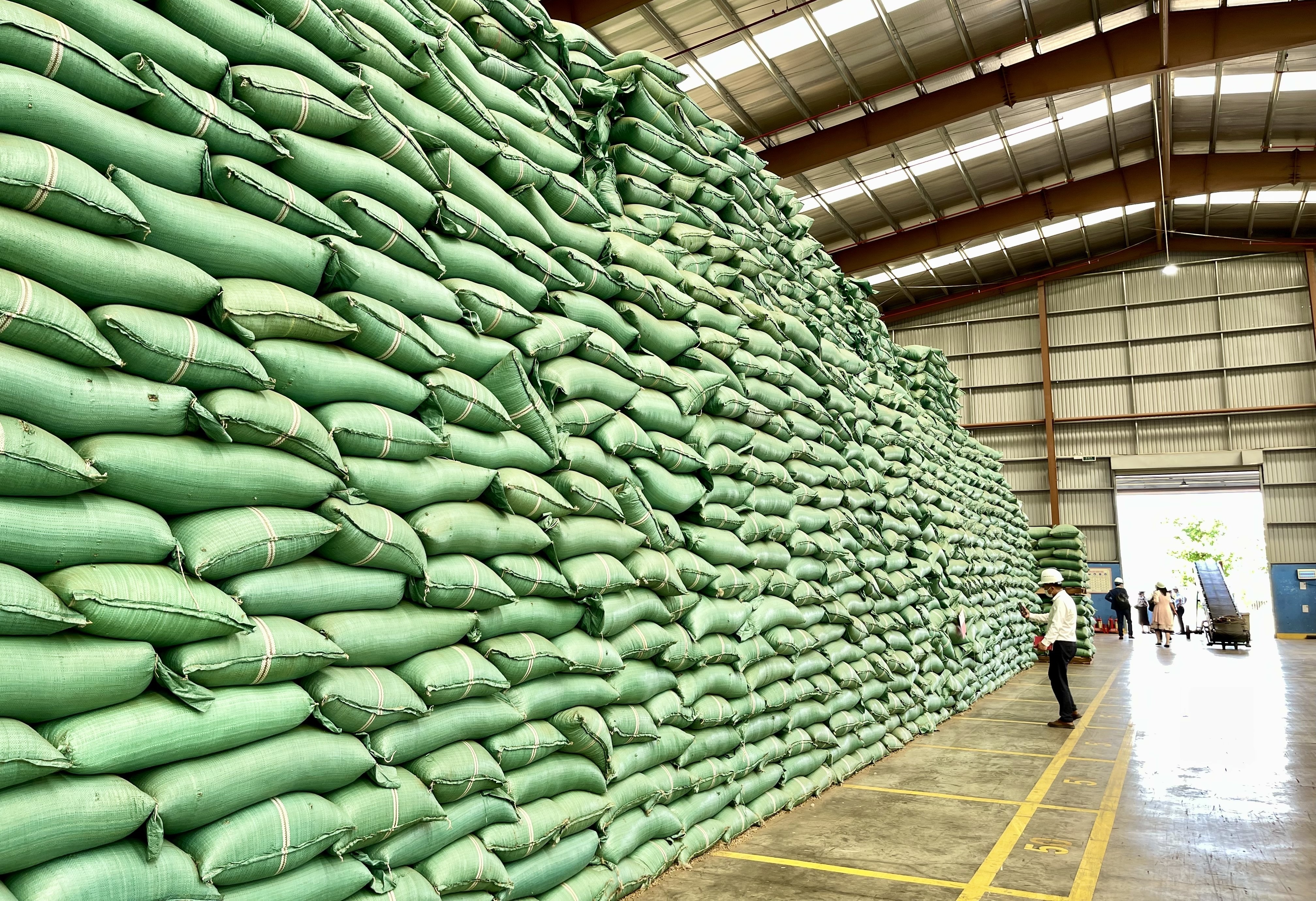 Gia Lai strengthens food safety controls to protect European export market
