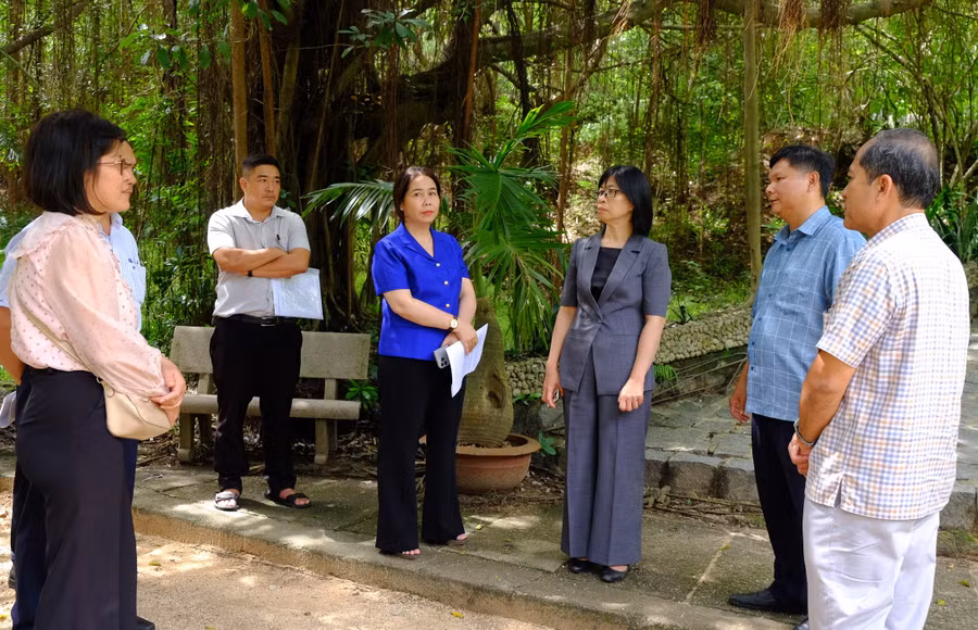 pho-chu-tich-ubnd-tinh-nguyen-thi-thanh-lich-thu-3-tu-phai-sang-khao-sat-khu-du-lich-ghenh-rangjpg.jpg
